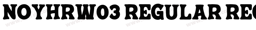 NoyhRW03 Regular Reg字体转换 NoyhRW03 Regular Reg字体转换